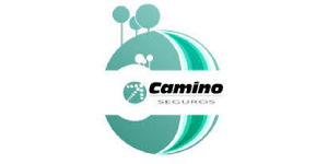 CAMINO SEGUROS