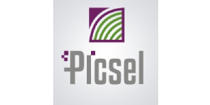 PICSEL